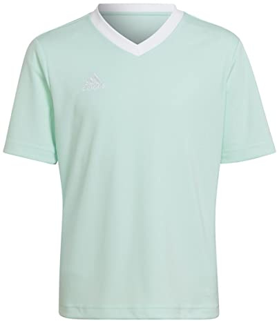 adidas Unisex Kids Entrada 22 Jersey, Royal Blue, 11-12 Years