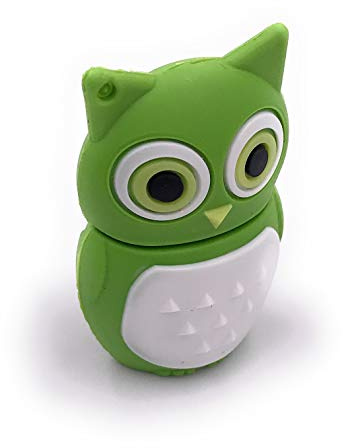 H-Customs Eule Vogel Grün USB Stick 16GB USB 2.0