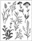 Viva Decor Clear-Stamps (Gräser) Silikon Stempel - Prägung Stempel - DIY Dekoration stanzen - Stempel Silikon - DIY Stamp - Stempel Prägung - Designed in Germany