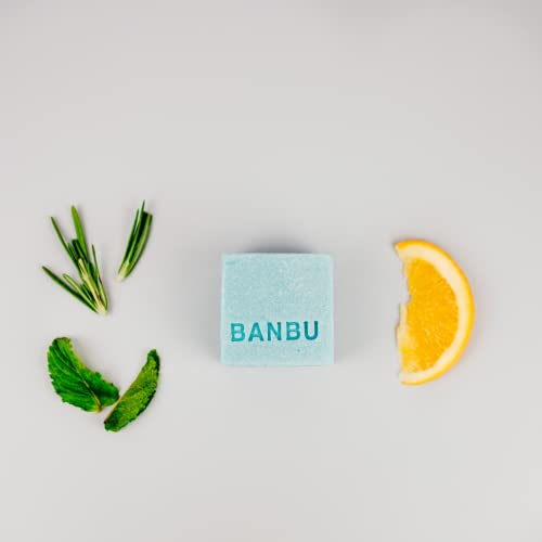 Nostalgie Solid Shower Gel mit Kräuteraroma