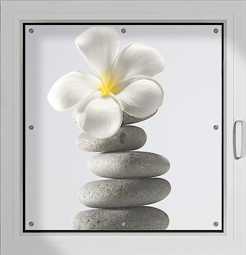 Wallario Lichtschutzbild, Dekorativer Sichtschutz Sonnenschutz 96 x 100 cm mit Motiv: Blume auf gestapelten Steinen - Verdunklungsrollo ohne Bohren