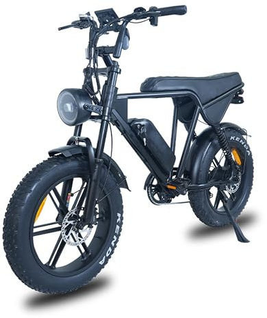 BRIFUGO 48V Brushless Motorrad E-Bike 20 Zoll Fat Tire, Aluminiumlegierung Rahmen, Suspension Gabel, Leistungsstarke Motor, Gepäckträger für Erwachsene