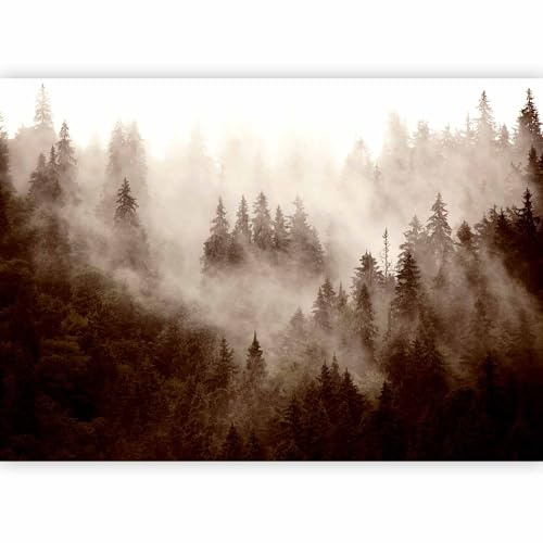 murando - Papier peint panoramique paysage 450x315 cm - Revêtement mural décoration chambre salon - Design moderne - Beige gris blanc - Des arbres montagnes paysage forêt brouillard c-B-0533-a-c
