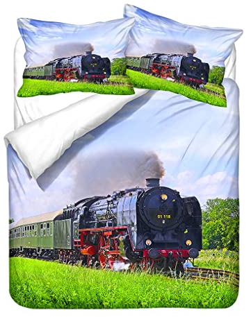 HNHDDZ 3D Train Bettbezug-Set für Kinder Junge Mädchen Jugendliche Bettwäsche-Set Bahn Eisenbahn Landschaft Muster Bettbezug und Kissenbezug (Stil 2,135x200 cm)