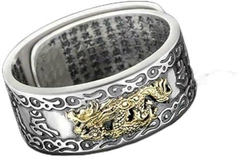 PLGEBR Silberne verstellbare Feng Shui Ringe Schutz Reichtum Glücksbringer offener Ring buddhistischer Schmuck für Damen Herren