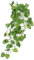 Yardwe 3 Stück Landschaftsbau Pflanzen Weinrebe Pflanze Terrarium Pflanzen Lebensraum Frosch Terrarium Pflanzen Reben Pflanzen Lebensräume Pflanze Grüner Kunststoff