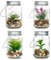levandeo 4er Set Sukkulenten Im Glas B x H: 8 x 13 cm Deckel LED Warmweiß Henkel Deko Tischdeko Lampe Kunstpflanze Hängelampe