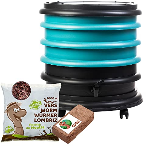 WORMbox | Wurmkomposter Wurmfarm Wurmkiste mit 3 Schalen Türkis + 500g Kompostwürmer / 1000 STK + 1 Coco | 48 Liter | Regenwurmkomposter, Kompostwürmer produzieren Wurmhumus