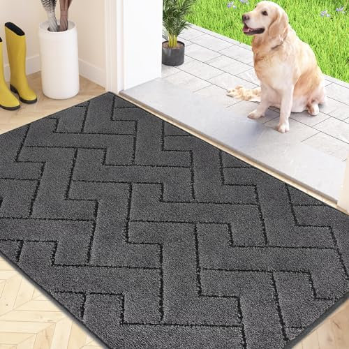 FCSDETAIL Schmutzfangmatte Innen 80 x 120 cm, rutschfeste Fußmatte, waschbar Sauberlaufmatte, absorbierend Türmatte, Fussmatte Teppich für Hund, Eingang, Haustür & Flur