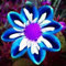 Perennes, Dalias bulbos, Winterharte, Flores cortadas, Decoración de balcones, Bulbos de jardín, Bulbos de Dalia-6 Bulbos-F