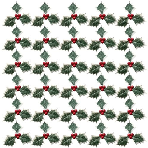 DBALL 30 Pezzi Bacche Rosse Natale Decorazioni Rimovibile Agrifoglio Con Foglie Verdi Pungitopo Natalizie per Ghirlanda Regalo