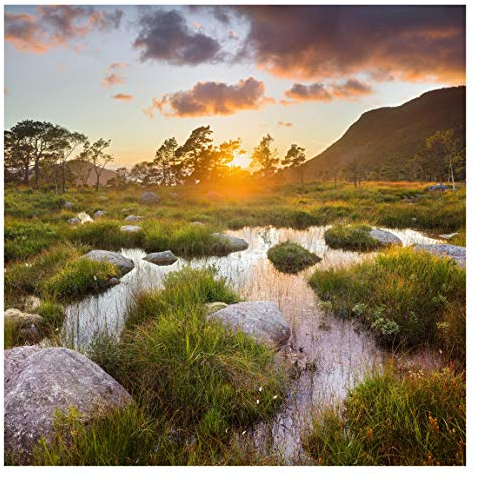 Tapete selbstklebend - Tverrdalsbekken in Norwegen Fototapete Quadrat 288x288 cm