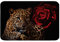 Loussiesd Rose Gepard Badezimmerteppich Leopard Drucken Absorbierend rutschfest Badematte 50x80cm Romantisch Rote Rose Blumen Weich Waschbar Badvorleger Küche 3D Tiermotiv Indoor Eingang Badteppiche