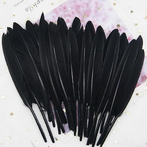 GreatRise 10-15cm Bunte Federn Natürliche Gänsefedern Federn zum Basteln Indianer Federn Dekoration Feder für DIY Handwerk Kostüme Hut Traumfänger Hochzeit Party Dekorationen Schwarz 100 Stück