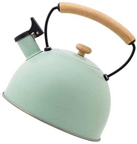 1-teiliger Wasserkocher, Warmwasserboiler, pfeifender Tee, Kaffeeperkolator, Kochfeld, kochende Teekanne, Edelstahl-Wasserflasche, Camping-Kochherd, Eisen-Teekanne, Tee machen, Holzofen, elektrisch