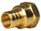 2 Stück XFITTING 1,9 cm Pex x 1,27 cm NPT-Gewindeadapter, Pex B, Quetschbuchsenadapter, Messing, voller Anschluss