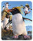 3D LiveLife Magnet - Felsenpinguin von Deluxebase. Linsenförmige 3D Pinguin Kühlschrankmagnet. Dekoration für Kinder und Erwachsene mit Kunstwerk lizenziert von bekannt Künstler, David Penfound