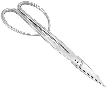 QWORK® Forbici per Bonsai in Acciaio Inossidabile - 21 cm - Utensile per Bonsai per Tagliare Gemme fogliari e Rami teneri