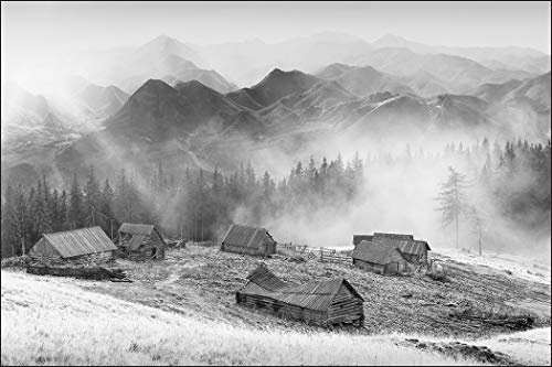Muralo Papier Peint Montagnes Noir et Blanc 150x225 Vinyle Décoration Plantes Verdure - 127818908