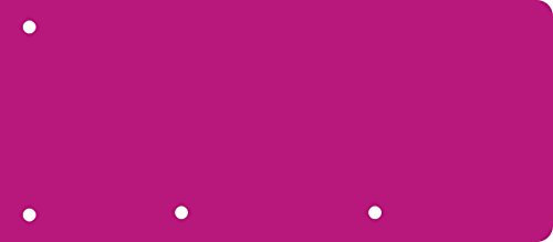 BRUNNEN Trennstreifen CC 40 Stück gelocht (Pink, 2er Pack)