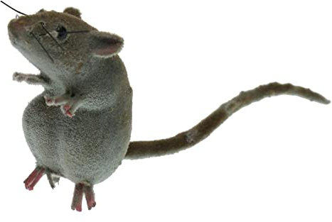 LOVIVER Realistische Maus Statue Mit Magnet Lebensechte Mäuse Modell Künstliche Tiere Ornament Für Gartendekoration Katzenspielzeug