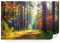 Fototapete Wald Grün Premium Vlies - Vliestapete Tapete Wandtapete Motivtapeten Vliestapeten Wohnzimmer Schlafzimmer moderne Wand Bildtapete Landschaft Natur Baum 360 x 240 cm
