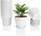 FORAGIFT 15cm Plant Pots, 16 Pack Plastic Herb Pot with Drainage Hole and Tray, Seed Seedling Pots Flower Nursery Pots for Vegetables, Flowers, Cactus, Cuttings, Succulent, White