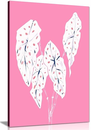 Begonia Maculata Pink Framed Canvas Print, Pictures for Home Walls, Bedroom, Living Room & Bathroom Decor 61x41cm (24x16in)