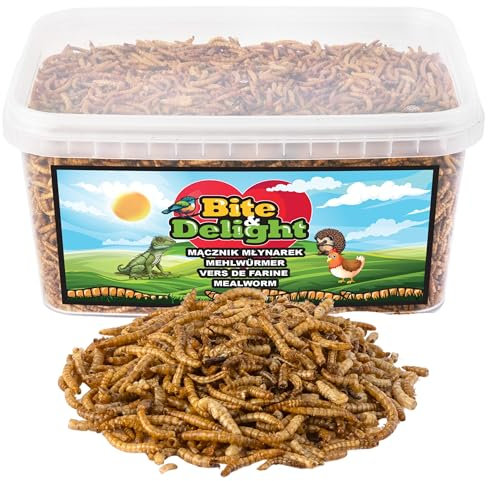 Bite & Delight Premium Mehlwürmer Getrocknet - Proteinreiches und Fettreiches Vogelfutter Wildvögel Ganzjährig - Igelfutter - Eichhörnchen Futter - Hamster Futter - Universalfutter - 2500 ml - 500g