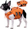 Kuoser Hunde Schwimmweste für kleine mittel große Hunde, Verstellbar & Ripstop Hunde Rettungsweste mit Rettungsgrif, Hoher Schwimmfähigkeit Haustier Lebensretter Welpen Badeanzüge für Strand Orange S