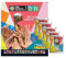 Panini Frauen WM 2023 Sticker - 1x Stickeralbum + 5x Stickertüten