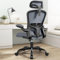 FelixKing Ergonomic Office Chair, Headrest Desk Chair with Adjustable Lumbar Support, Home Office Swivel Task Chair with High Back and Armrest, Adjustable Height Gaming Chair(darkgray)