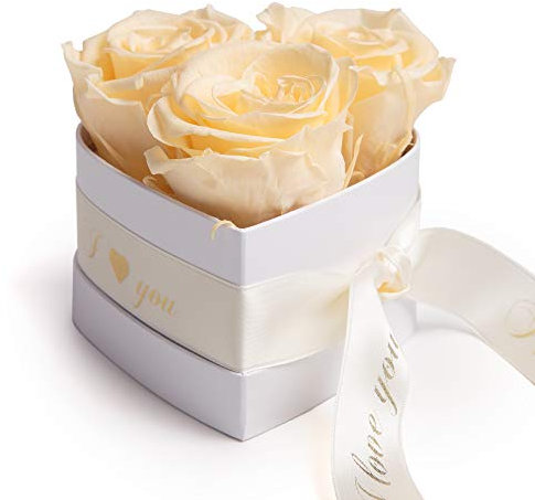 Infinity Rosenbox Herz - 10x12cm 3 konservierte Rosen in Creme haltbar 3 Jahre Geschenk für sie - Valentinsday gift box for her von Rosemarie Schulz Heidelberg (I Love You, Beige)