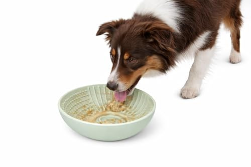 hundenapf - katzennapf - leckmatte Hund - Laslo rund - hellgrün - Ø16,5 cm - silikon rutschfest - für nassfutter und Snacks