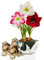 Bulbi di Amaryllis Collezione Economico, 3 bulbi in grande formato 26/28, Mix esclusivo di pianti e fiori dall'Olanda, 3 colori diversi (non semi, non in cera e non artificiali)