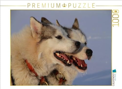 Puzzle · Brüder | Huskies im Team · 1000 Teile · Lege-Größe 64 × 48 cm · CALVENDO Puzzle