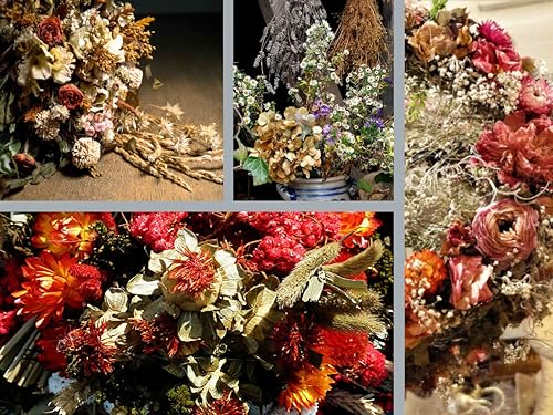 Trockenblumenmischung Samen - Bunte Blumen Sorten – Garten & Balkon - Ideal Trocknen & Deko - Strohblumen enthalten - Langlebige Dekoration - Perfekt für Kränze & Sträuße - Einjährige Mischung