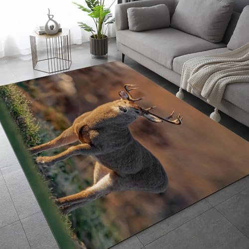 ARiXIaNg Teppich Wohnzimmer Schlafzimmer REH Teppich Kinderzimmer Kurzflor Teppiche rutschfeste Spielteppiche Tier Teenager Kinderteppich Dekoration Carpets 60x90 cm