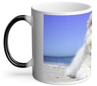 Mug Thermo-réactif Tasse Magique - Spitz Petit Chien Blanc de Race Chiot Bebe Mignon Plage - 325 ml
