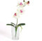 artplants.de Ramo di phalaenopsis Artificiale MADOU con Foglie, Bianco-Rosa, 40cm - Orchidea Decorativa/Ramo Finto