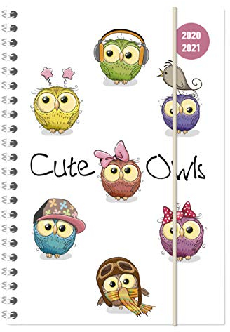 Collegetimer Cute Owls 2020/2021 - Schüler-Kalender A5 (15x21 cm) - Eule - Ringbindung - Weekly - 224 Seiten - Terminplaner - Alpha Edition (Collegetimer A5 Ringbuch)