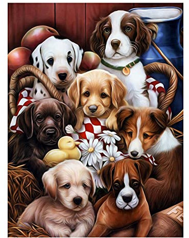 Diamond Painting Erwachsene Set Hund,DIY Diamond Painting Set,Süßer Hund 5D Diamant Painting Bilder Kinder,5D Diamond painting Tiere,Für Gifts, Wanddekor 30 * 40cm