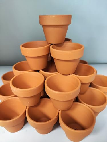 VERDE VIVO 30 Mini Vasetti per Semi da Germinazione in Terra Cotta, con Foro di Scarico, 30 Mini Vasi (5)