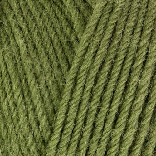 West Yorkshire Knitting Wool - Spinners Colour Lab DK Double Knit British Crochet and Knitting Yarn - 1207 Fern Green