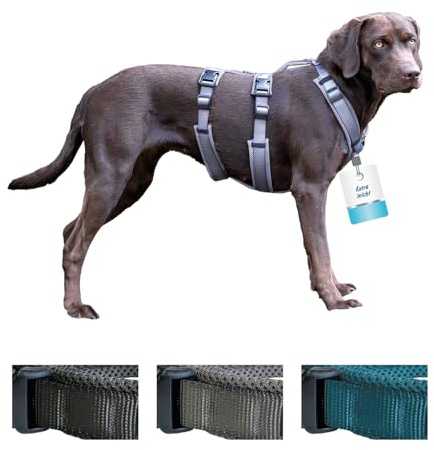 Petlando Sicherheitsgeschirr Mesh, ausbruchsicher, Anthrazit, XL | Für sehr große Hunde, gepolstert, atmungsaktiv, stufenlos verstellbar, Hundegeschirr mit extra Bauchgurt, Panikgeschirr