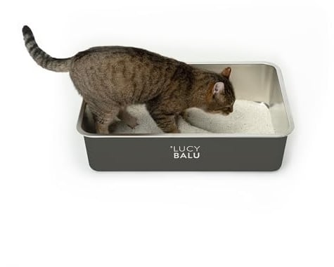 LucyBalu® STEELOO Litière hygiénique pour chat | Maison de toilette pour chat | Ouverture sur le dessus pour un accès facile | Litière moderne sans couvercle | Bassine en acier inoxydable | Anthracite