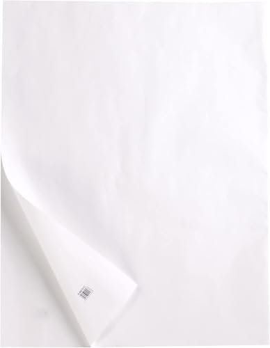 Clairefontaine 975091C Ries Transparentpapier (DIN A3, 29,7 x 42 cm, 50 Blatt, 90 g, ideal für technische Zeichnen) transparent