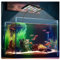 Clip On Full Spectrum Aquarium Light, 14W Aquarium LED Light 3 Modes Timer Fish Tank Light, 10 Adjustable Brightness with 3 Mixed Colors for Planted Tank