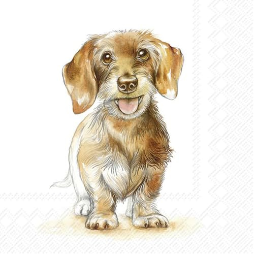 20 Servietten Tiere Niedlicher Rauhaardackel als Tischdeko. Papierservietten mit Motiv. Auch für Decoupage und Serviettentechnik 33x33cm