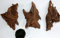 Wurzel,3 Mangrovenwurzeln, Mangrove, Aquariumwurzel+ Mooskugel Gratis Sahawa® Aquarium, Terrarium Deko ca. 12-15 cm